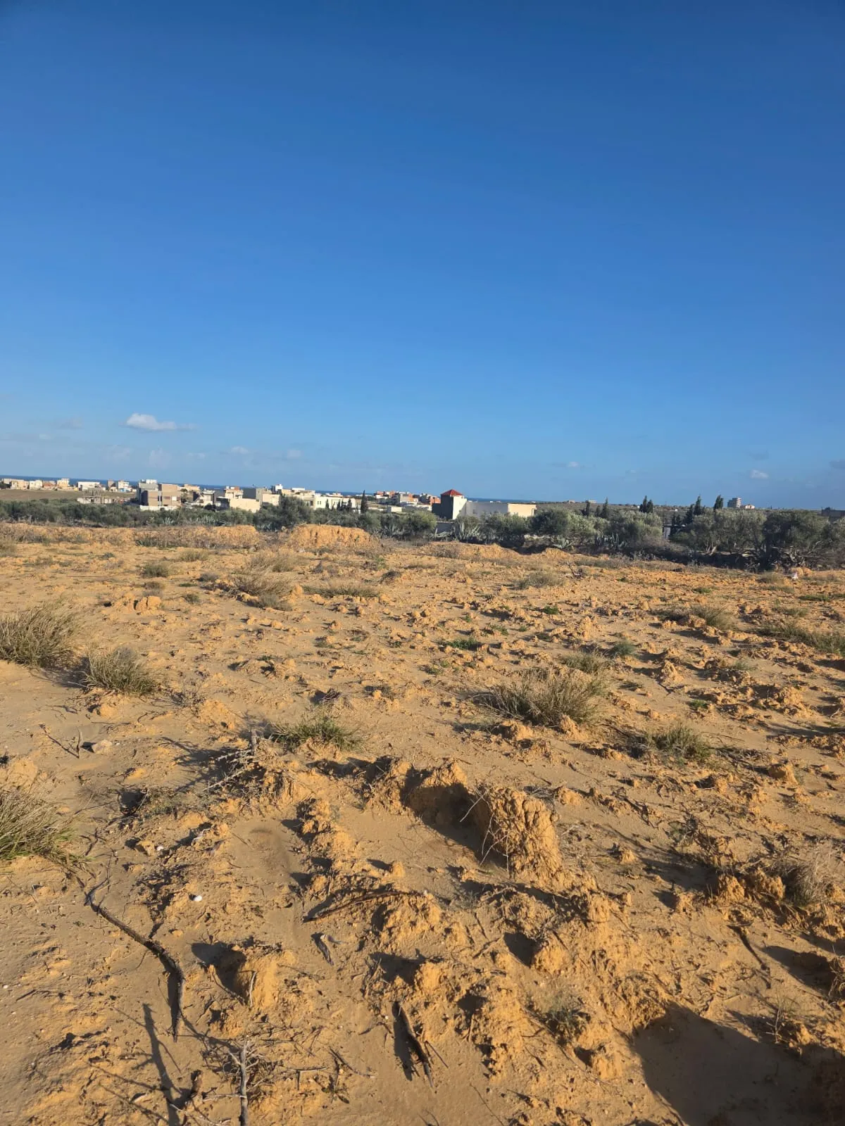 Terrain Collectif avec vue mer En Vente à Chott Mariem