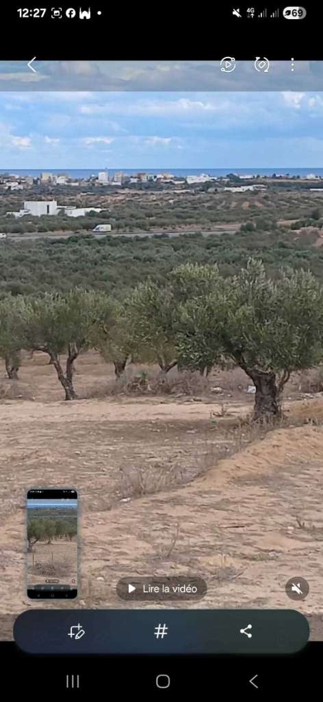 ✨ À VENDRE : TERRAINS VARIÉS - SIDI BOU ALI ARADIYA ✨ Vue sur mer et Lac
Référence : R126