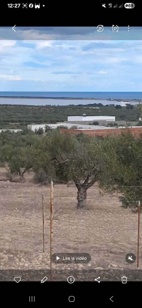 ✨ À VENDRE : TERRAINS VARIÉS - SIDI BOU ALI ARADIYA ✨ Vue sur mer et Lac
Référence : R126