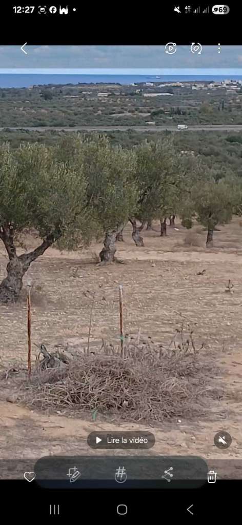✨ À VENDRE : TERRAINS VARIÉS - SIDI BOU ALI ARADIYA ✨ Vue sur mer et Lac
Référence : R126