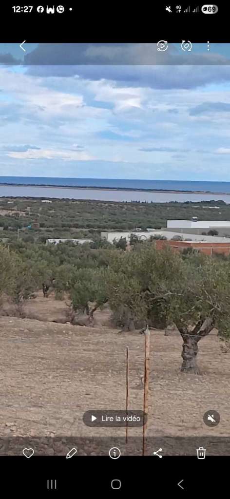 ✨ À VENDRE : TERRAINS VARIÉS - SIDI BOU ALI ARADIYA ✨ Vue sur mer et Lac
Référence : R126