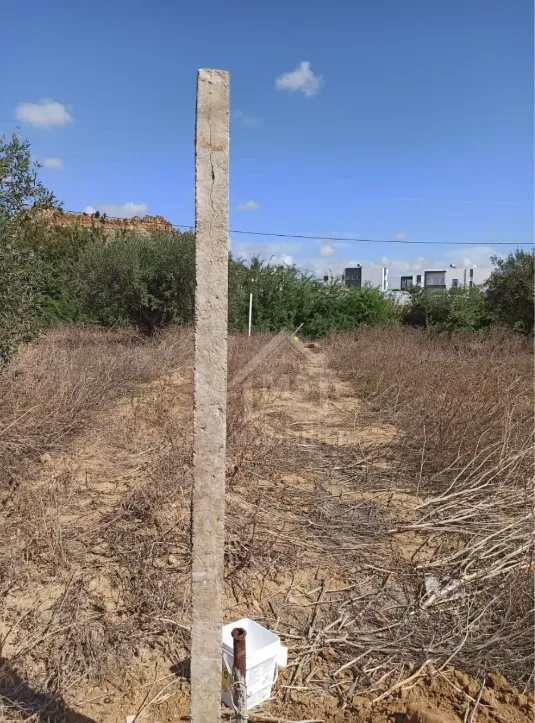 Terrain de 300 m² à Hammamet Sud à vendre 51355351