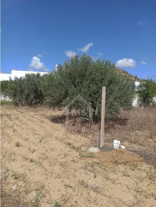 Terrain de 300 m² à Hammamet Sud à vendre 51355351