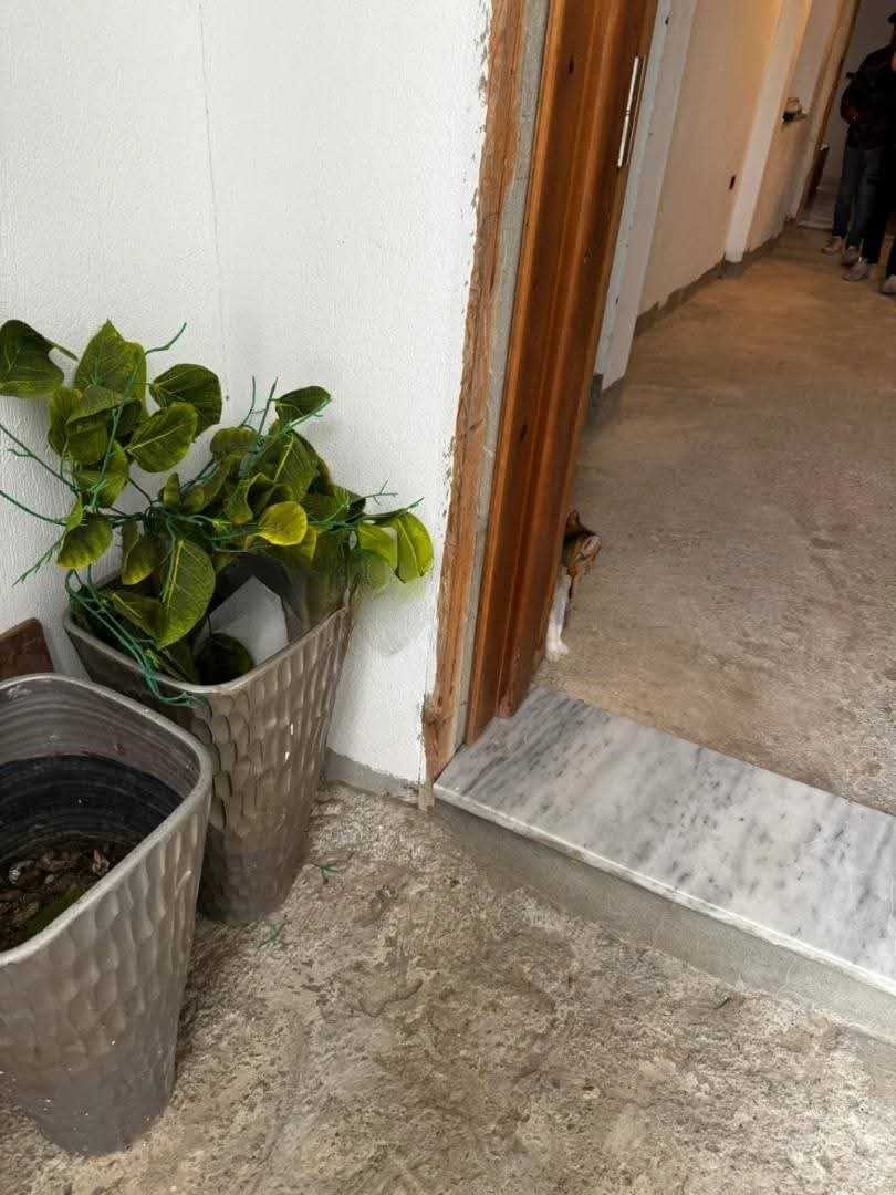 đ Annonce â Maison Individuelle Ă Vendre kalla sghira