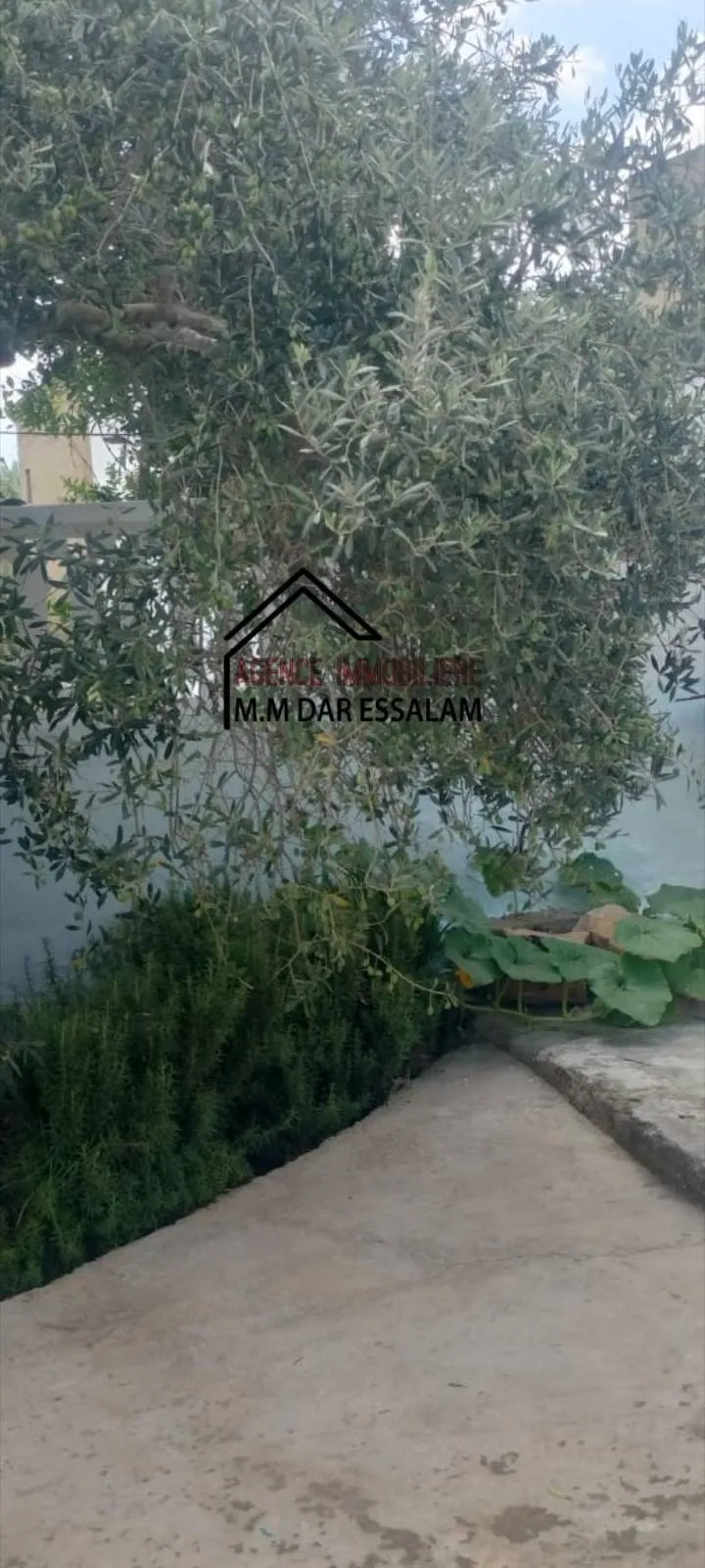 maison avec piscine à vendre