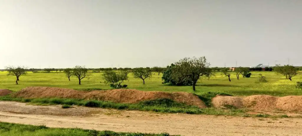 Terrain à vendre 
