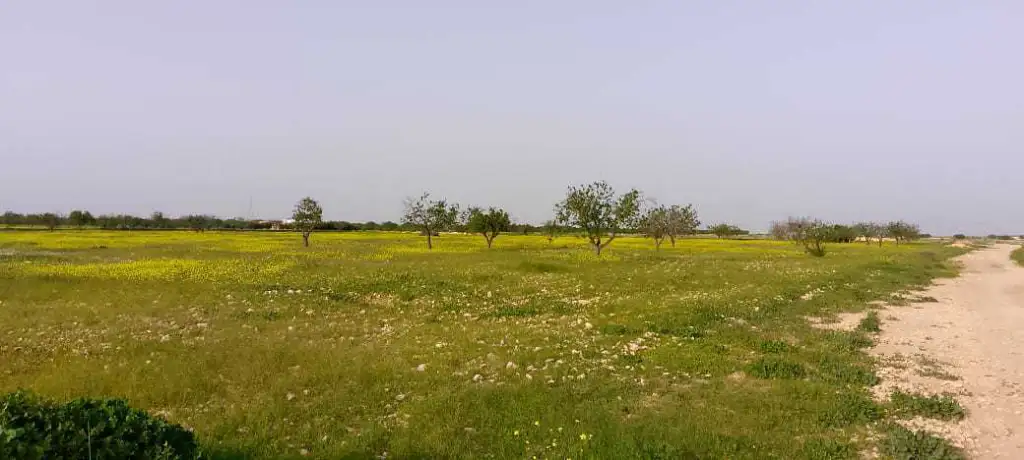 Terrain à vendre 
