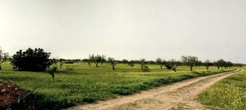 Terrain à vendre 