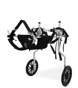 Chariot taille XL pour chien handicapé train arrière