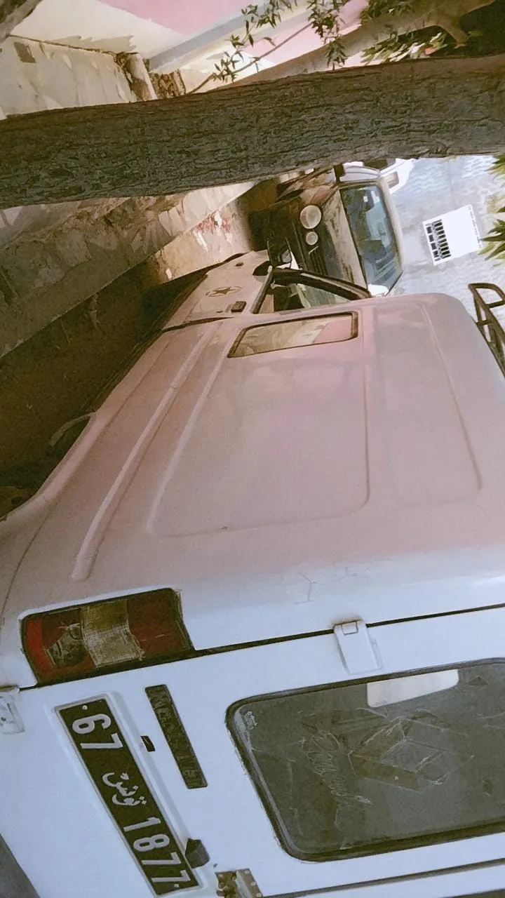 Renault Express