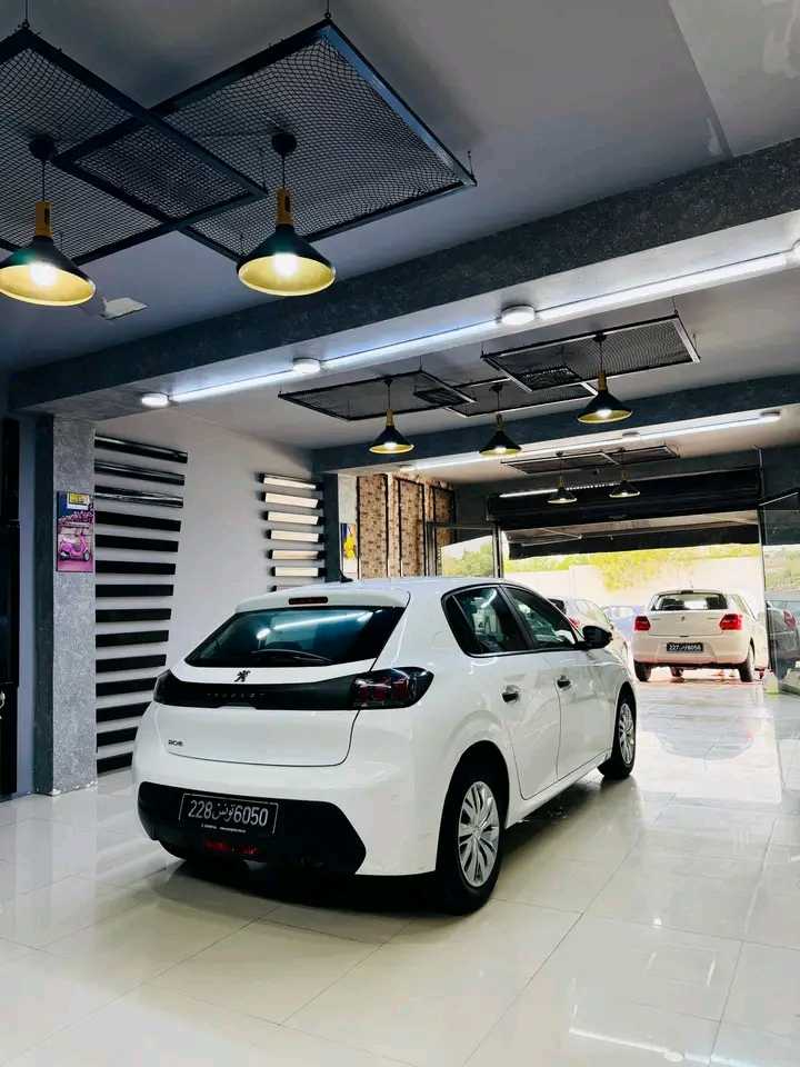 Peugoet 208

