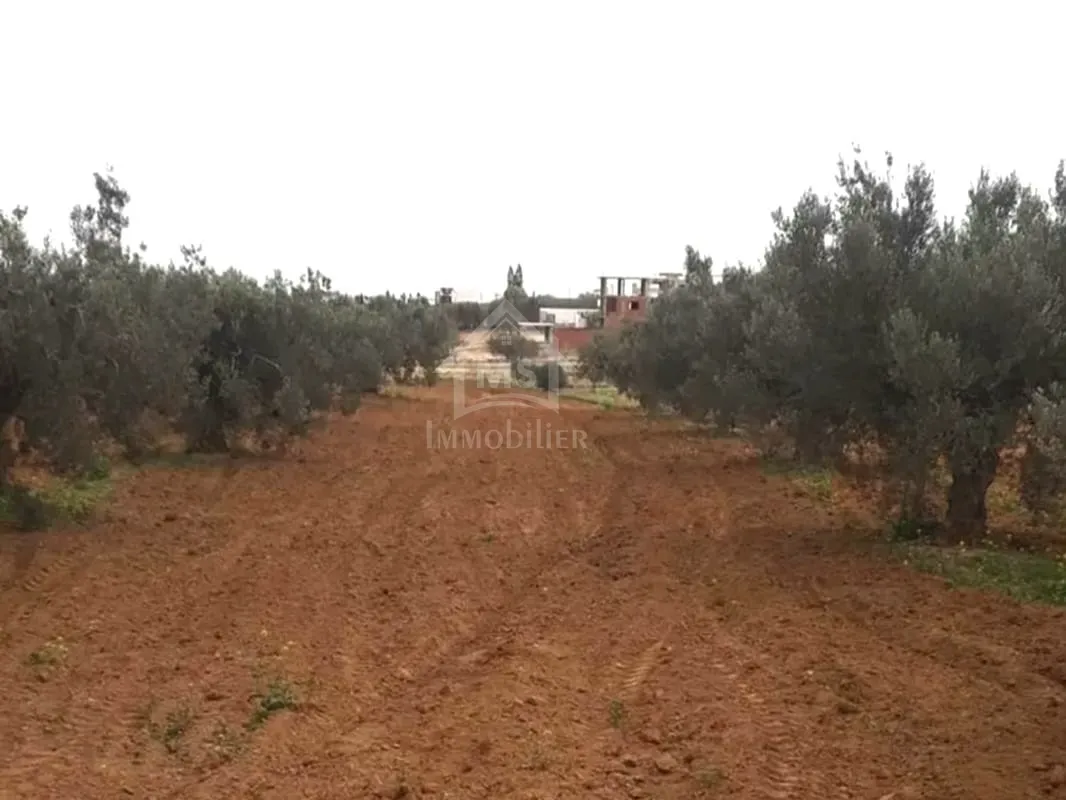 Terrain à vendre à 200 dt/m² à Hammamet Sud 51355351