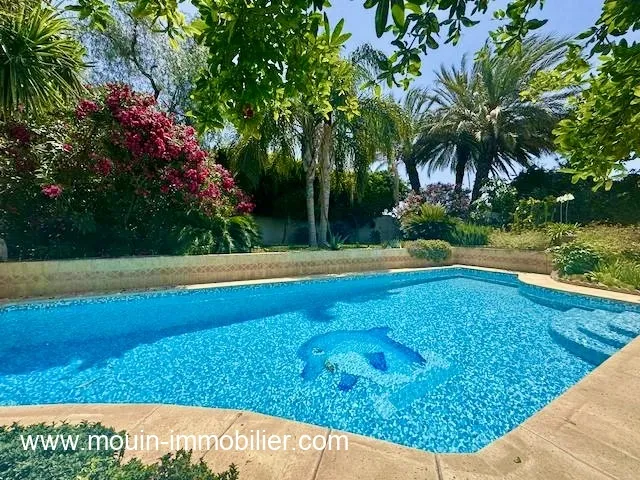 VILLA PETRA Hammamet Jinen AV1916