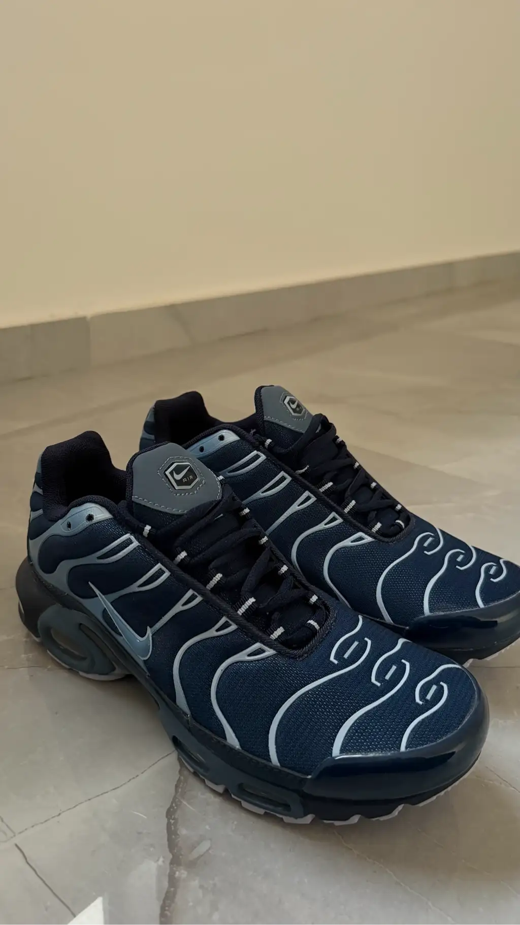 Nike Air Max Plus TN – Neuves, jamais portées