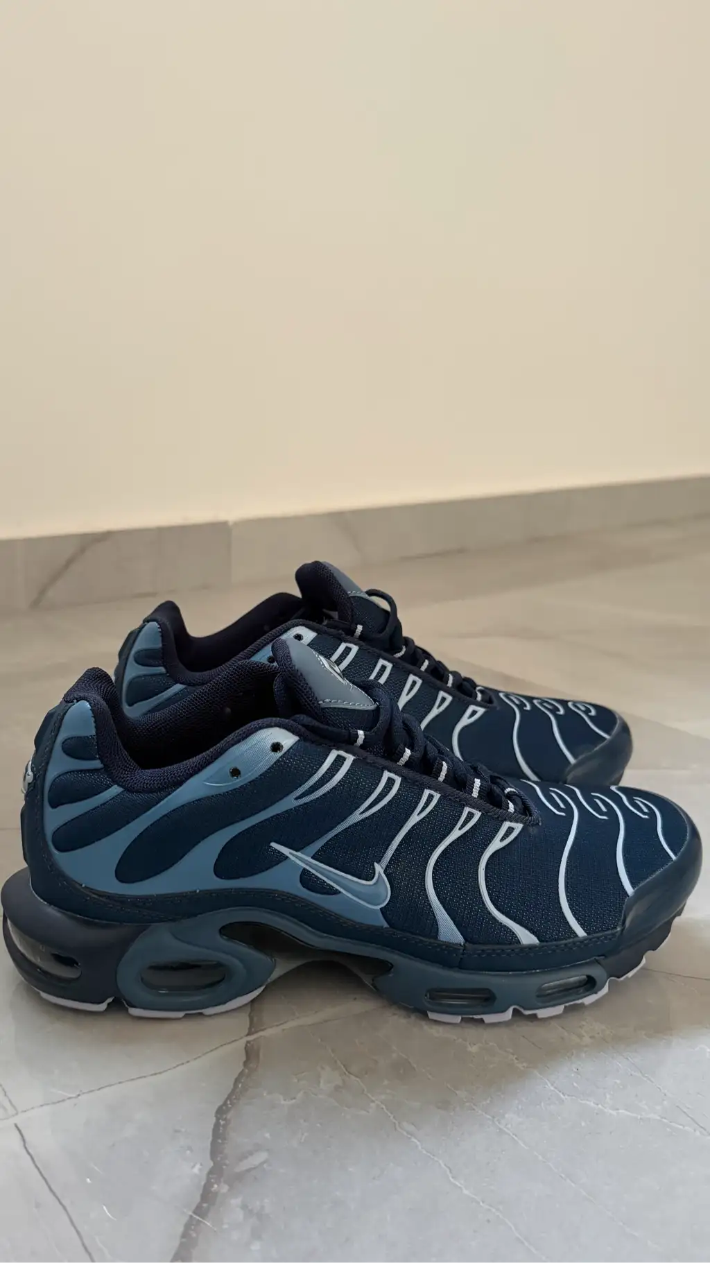 Nike Air Max Plus TN – Neuves, jamais portées