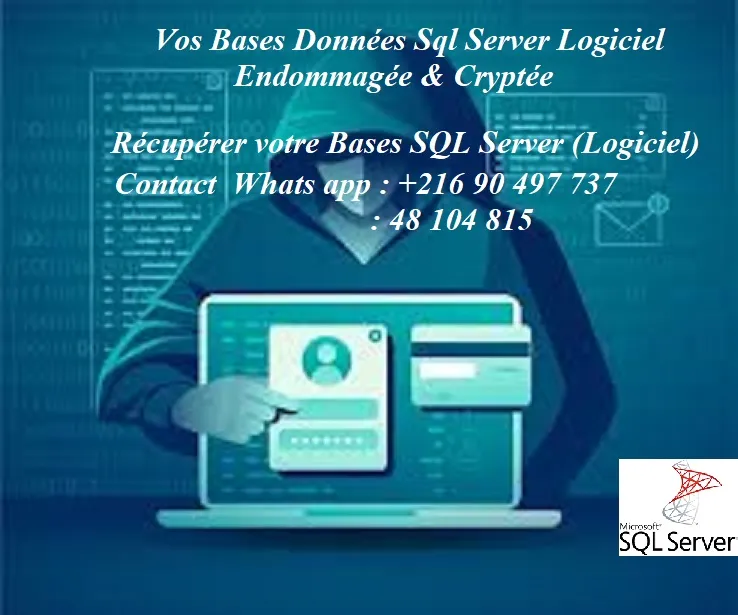 Recuperation Vos Base SQL Server Cryptée