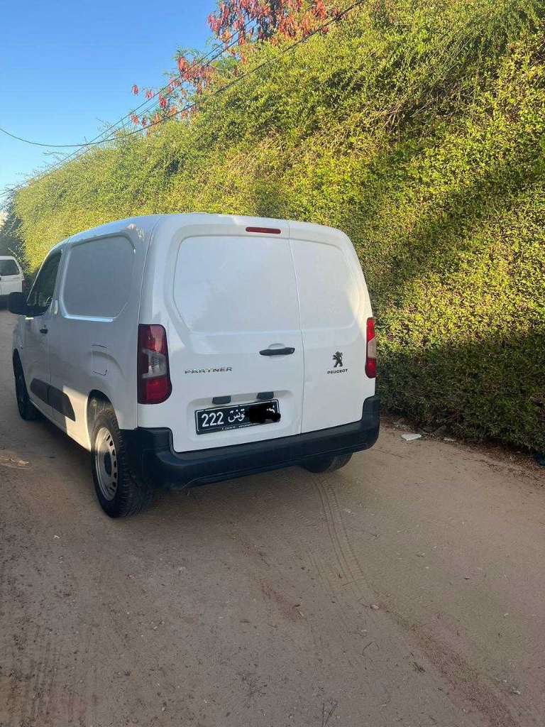 Peugeot k9