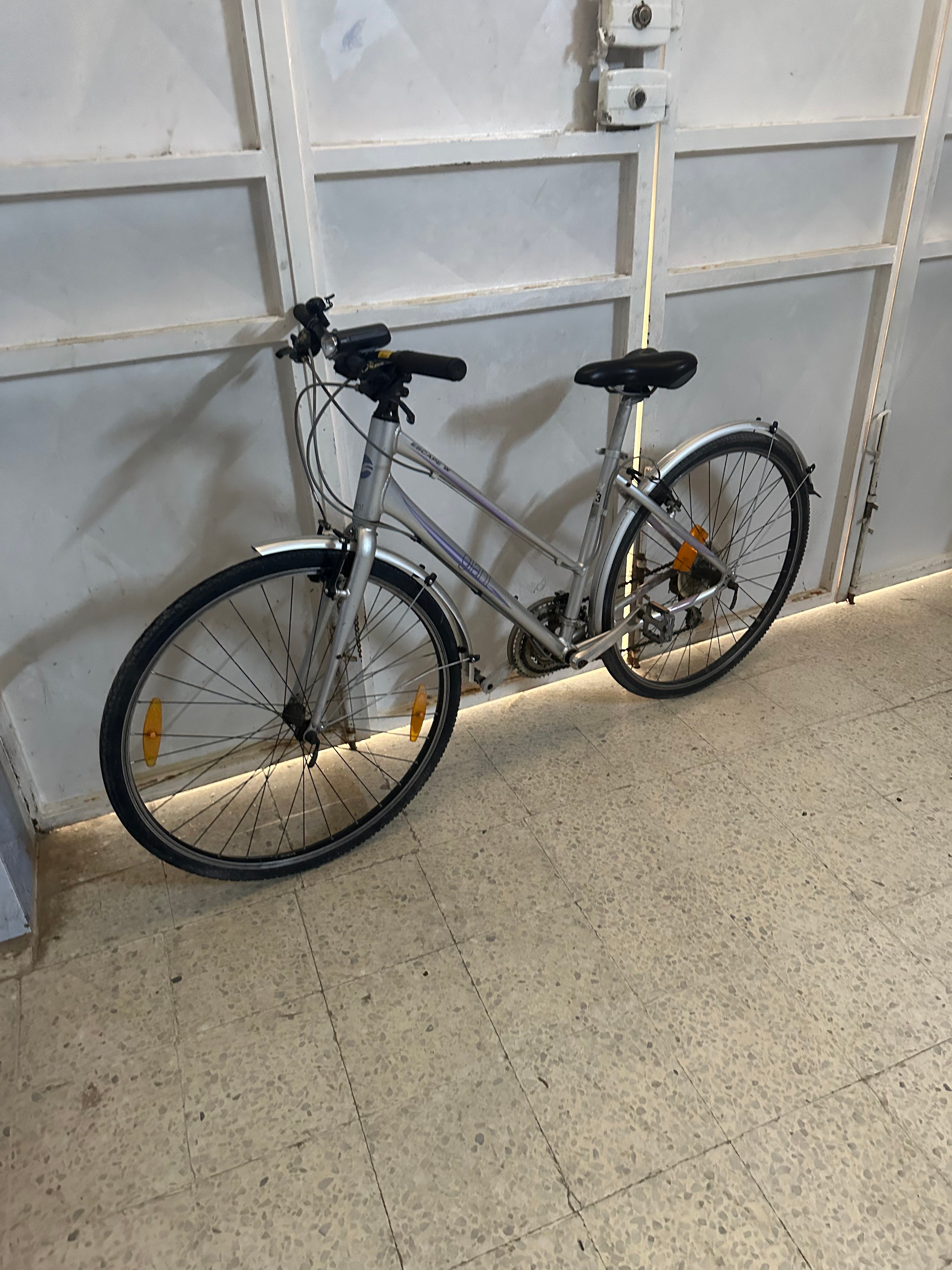 velo importer