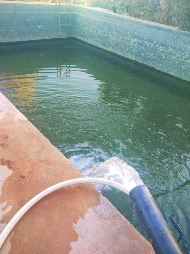 للبيع: سانية مميزة بمساحة 6350م² – البُورة، القلعة الكبرى (سوسة)