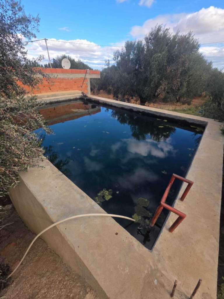 للبيع: سانية مميزة بمساحة 6350م² – البُورة، القلعة الكبرى (سوسة)