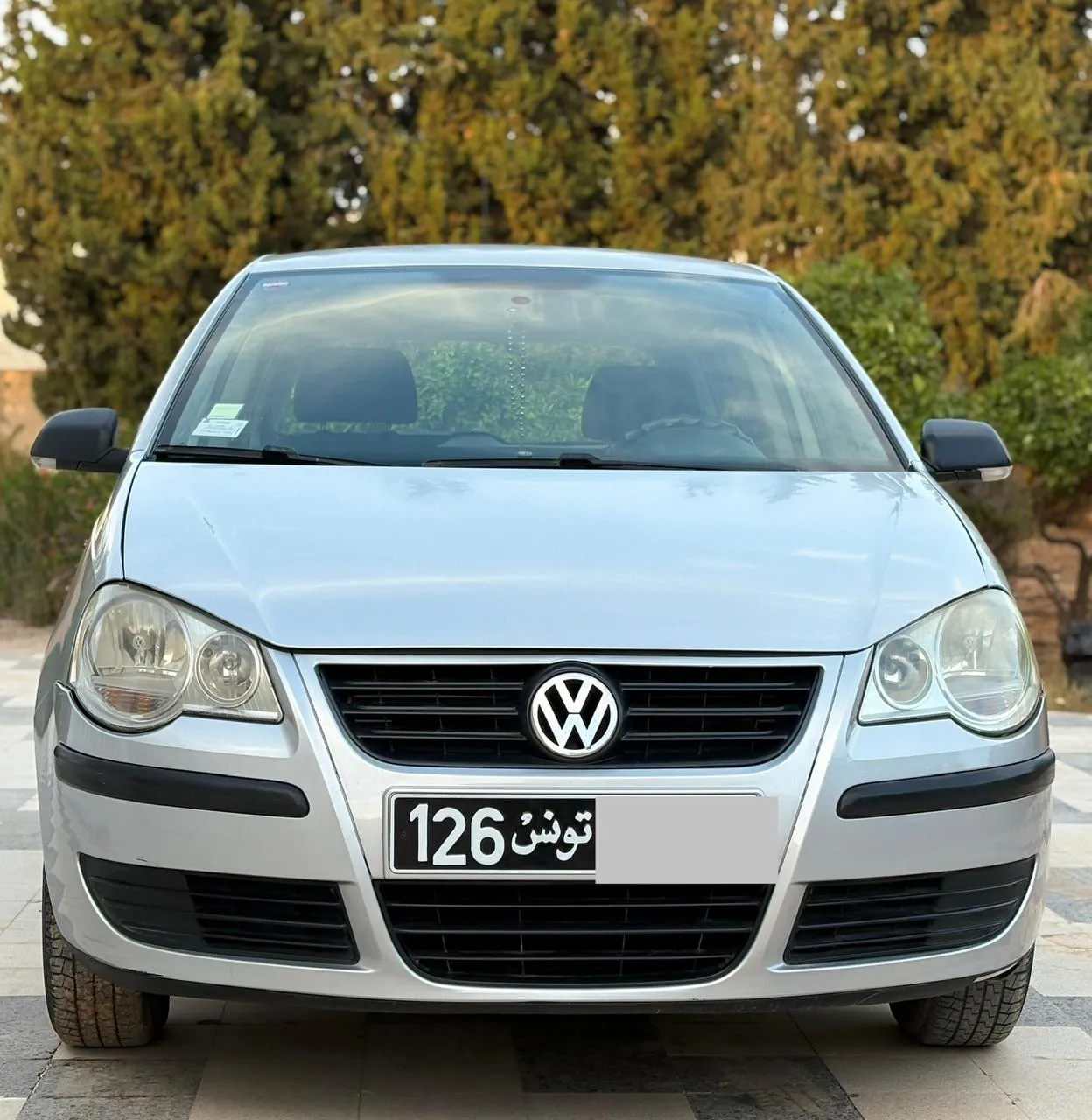 POLO 6