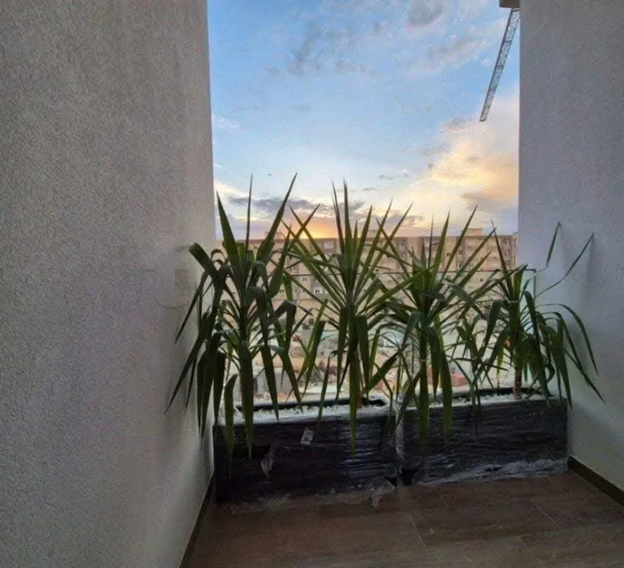 Location S2 vide à La Nouvelle Soukra