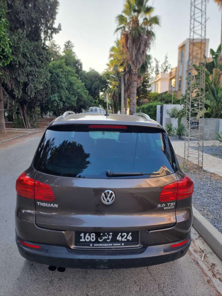 Tiguan 4×4