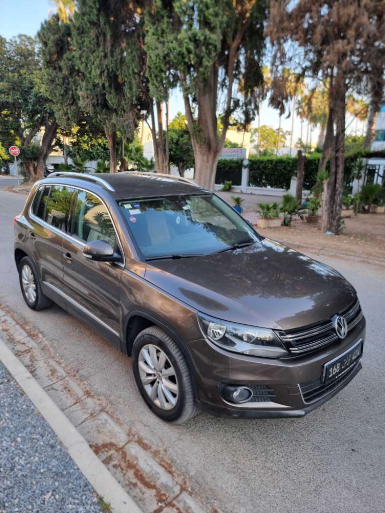 Tiguan 4×4