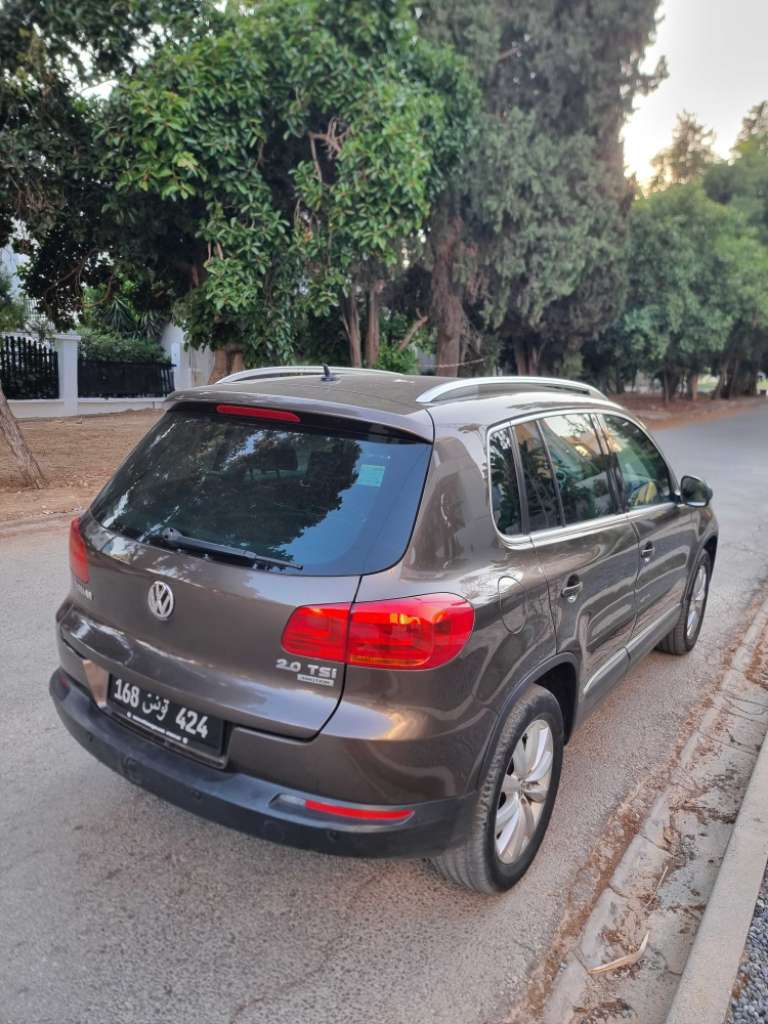 Tiguan 4×4