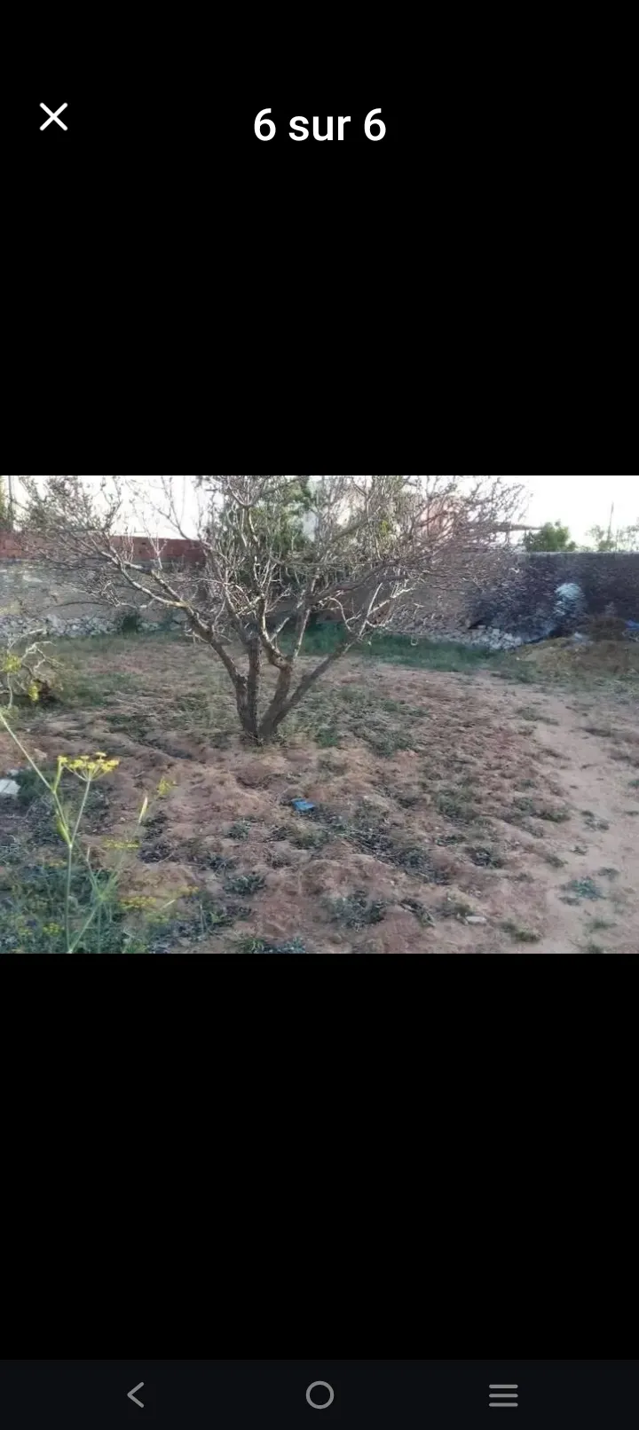 Terrain a vendre قطعة ارض للبيع