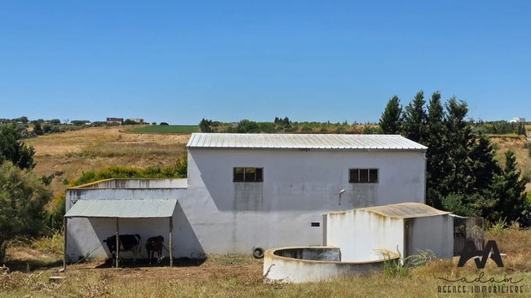 Maison d'Hôte 1 Hectare – Korba (Bir Drassen)