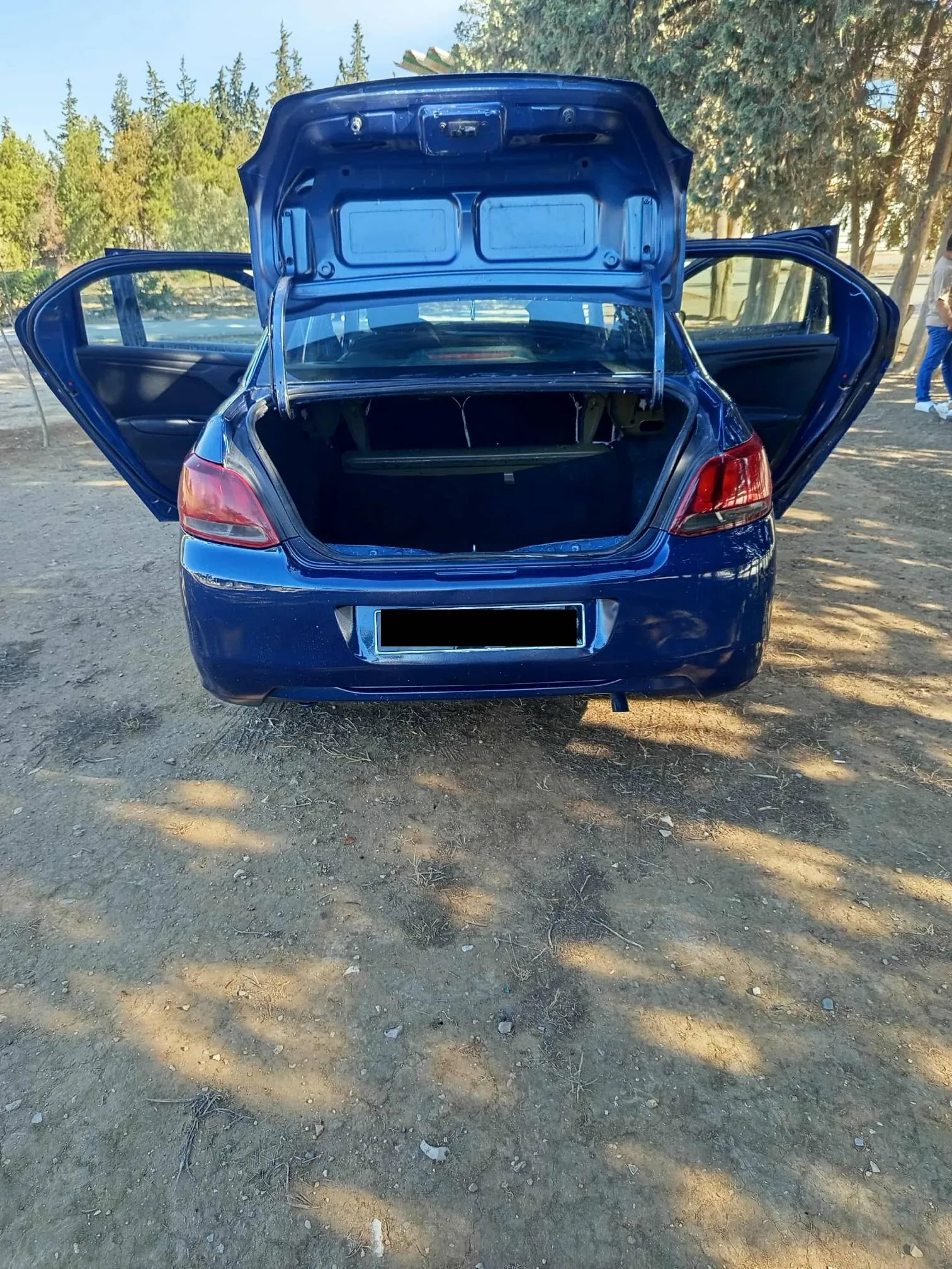 Voiture Peugeot 301 à Vendre