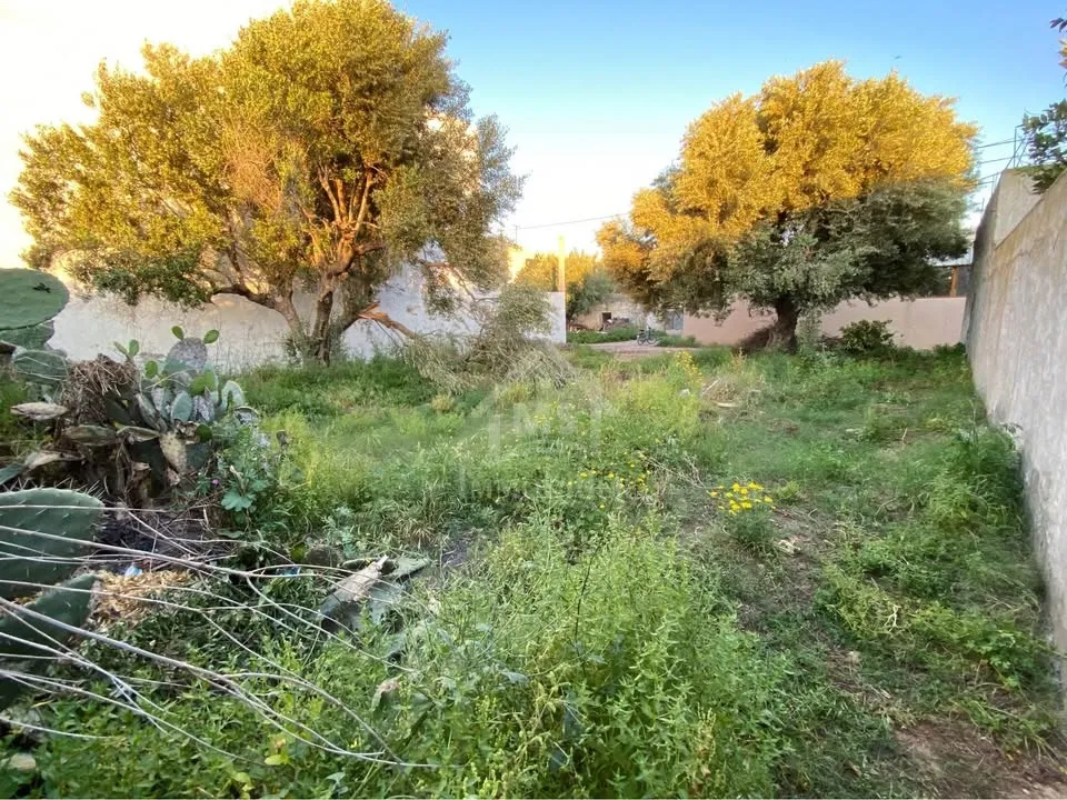 Lot de terrain de 250 m² à Hammamet à vendre 51355351