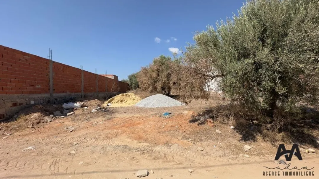 Terrain 1000 m² à Sidi Hamed