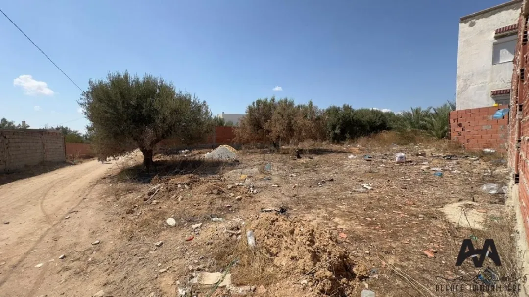 Terrain 1000 m² à Sidi Hamed