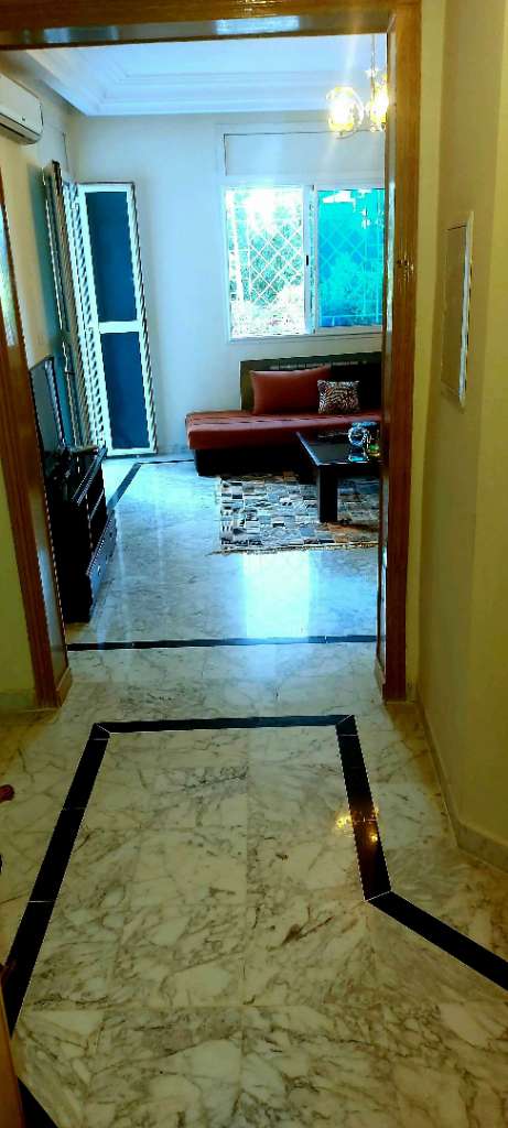 Excellent S1 meublé luxe pour étranger 