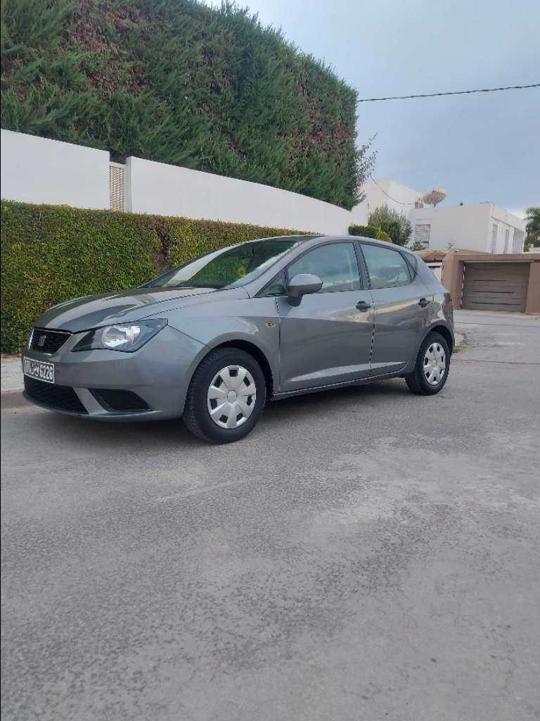 Seat ibiza 