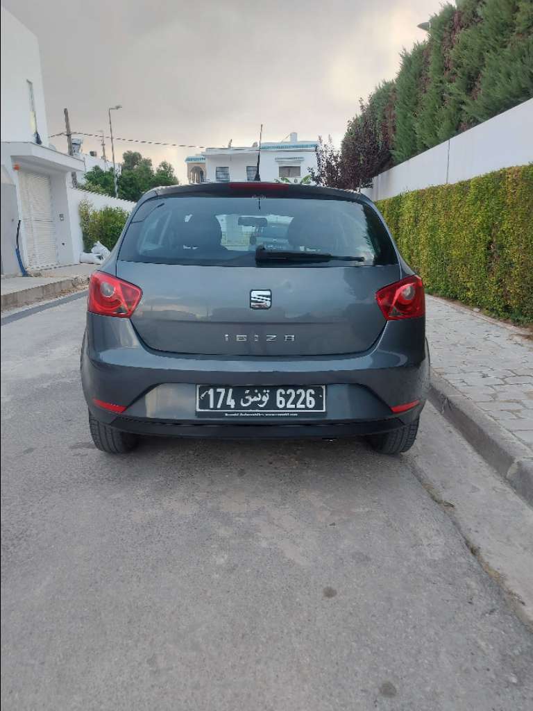Seat ibiza 
