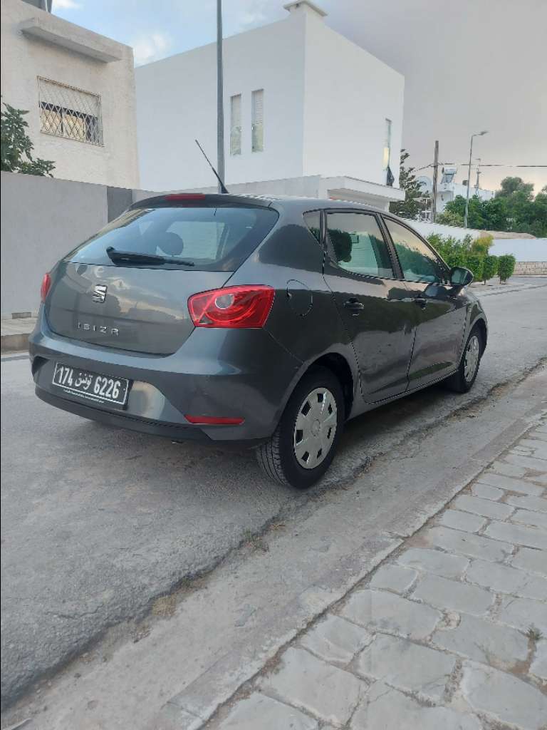 Seat ibiza 