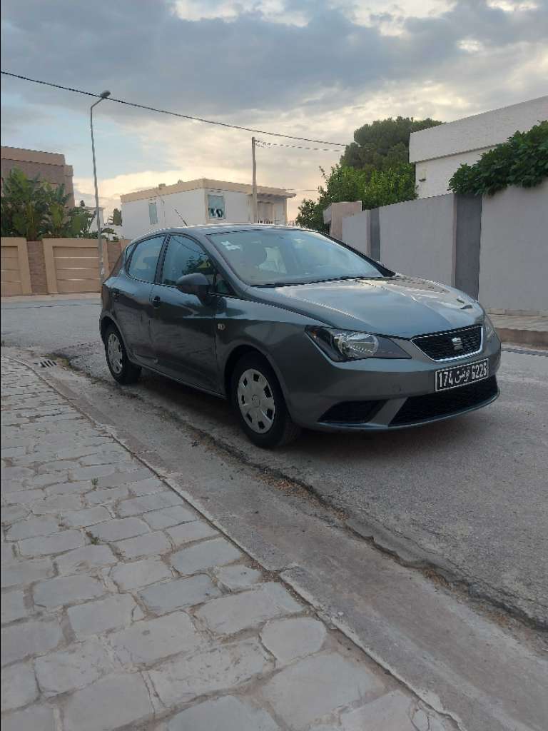Seat ibiza 