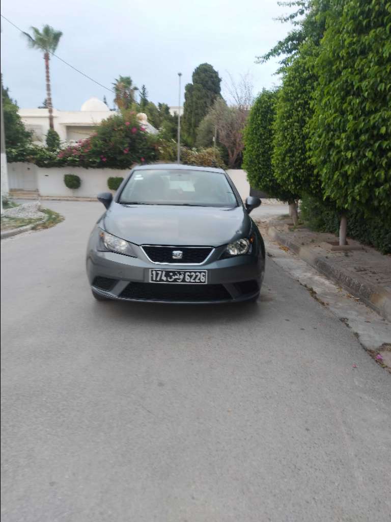 Seat ibiza 