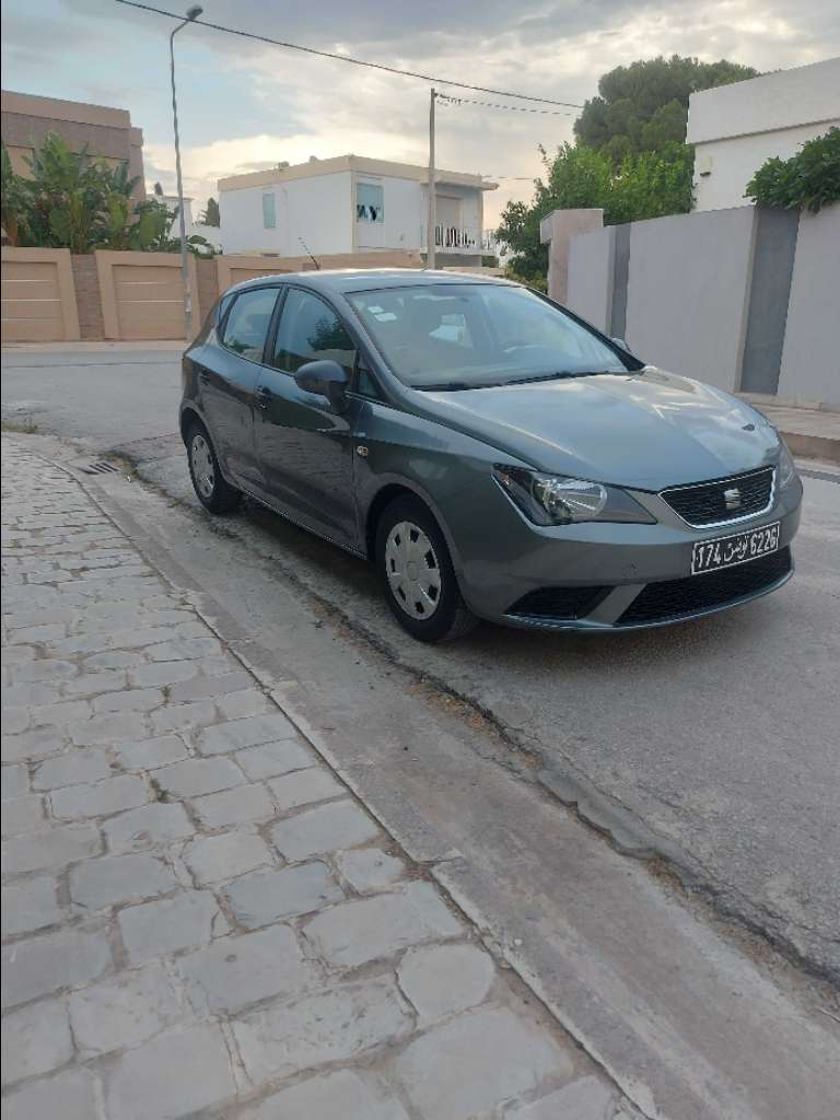 Seat ibiza 