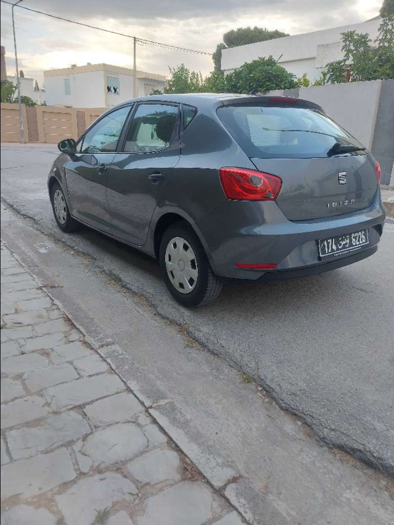 Seat ibiza 