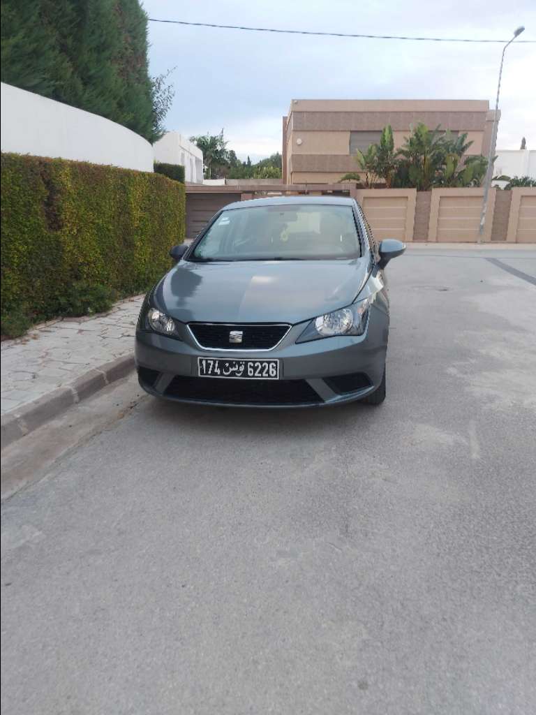 Seat ibiza 