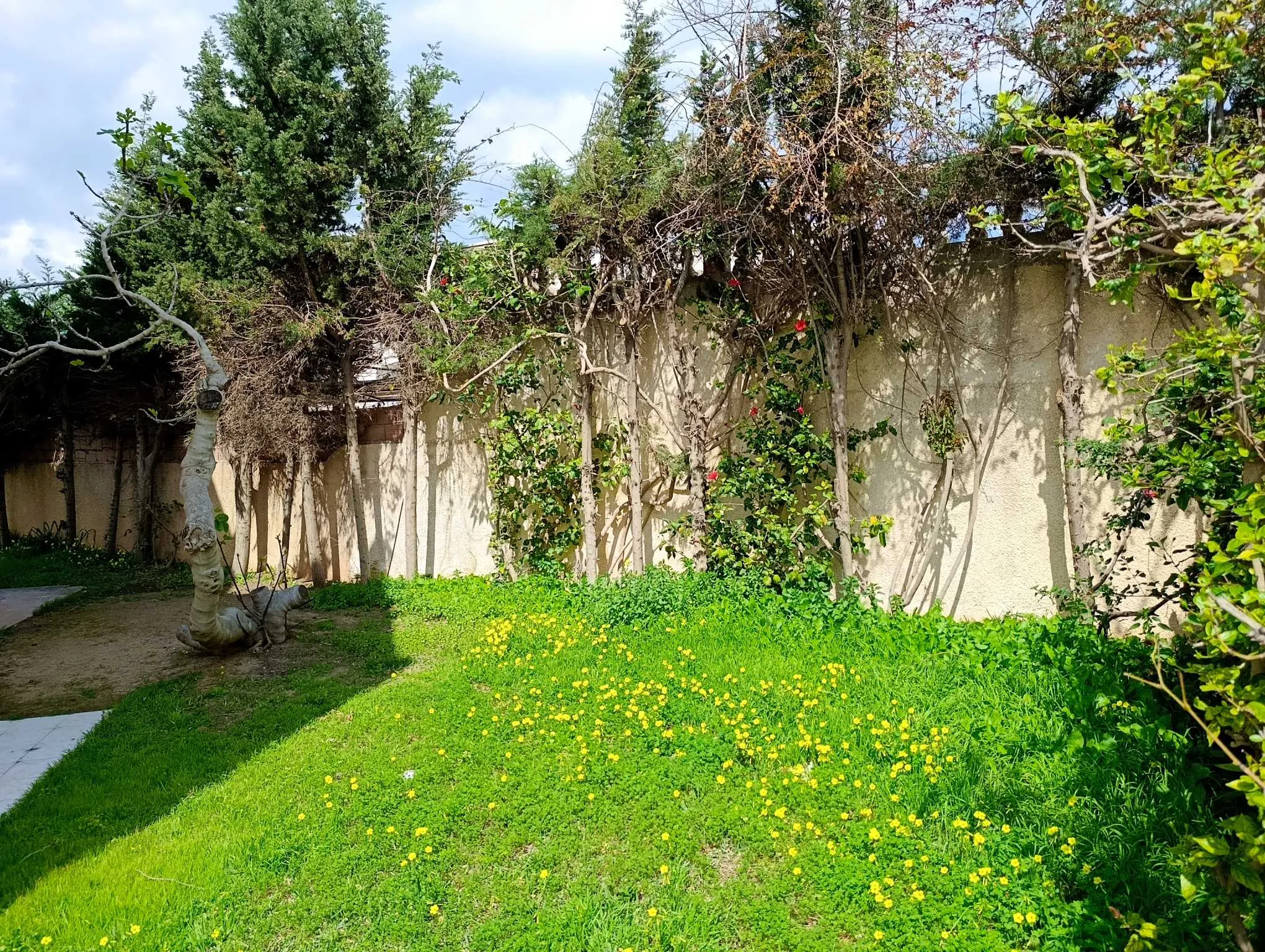 Un Villa à Plage Korba - Vue Mer à 50 m de la plage
