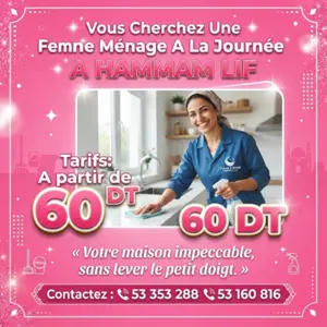 femme de menage par jour a hammam lif