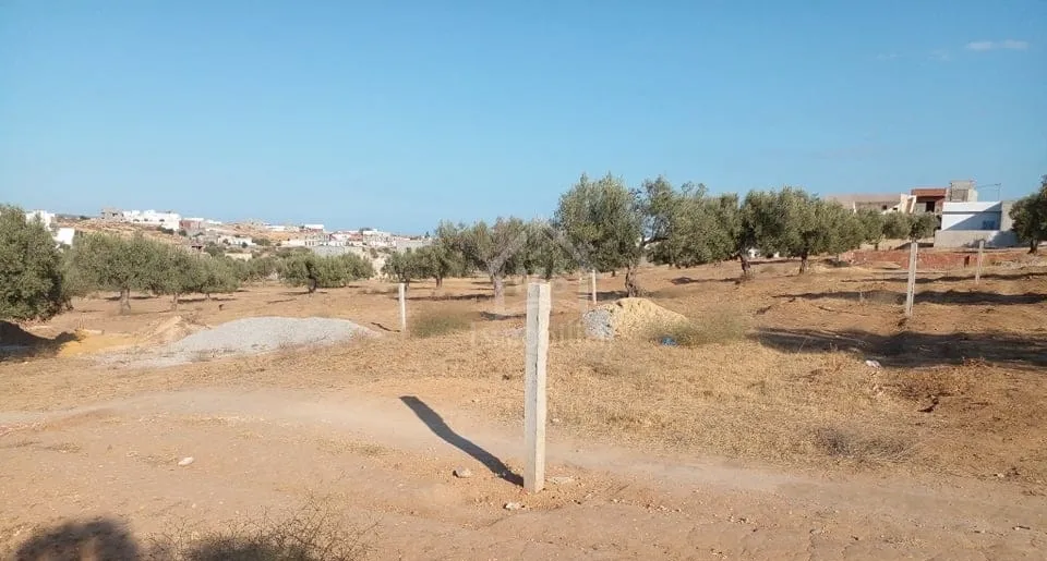 Terrain de 400 m² avec vue de mer à Hammamet Sud à vendre 51355351