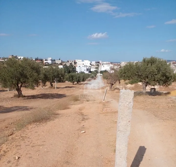 Terrain de 400 m² avec vue de mer à Hammamet Sud à vendre 51355351
