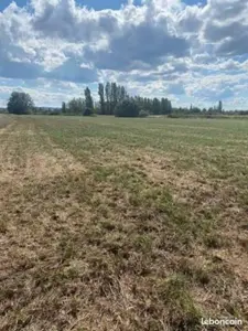Terrain Agricole à Medjez Elbab