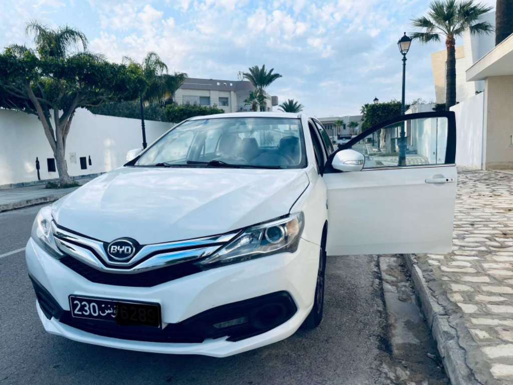 BYD 1er main toute option